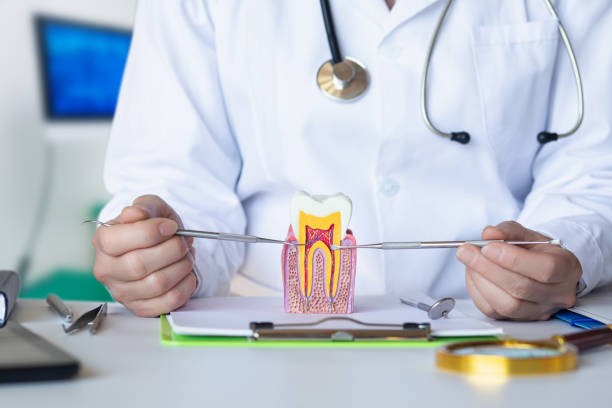 Best Mobile Emergency Dentist in Ridgemark, CA